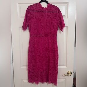 Lulus Pink Lace Dress